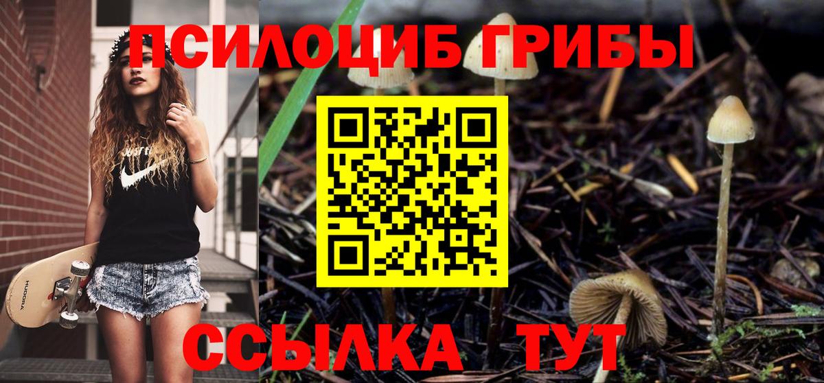 Псилоцибиновые грибы мицелий  Вход с VPN  Псилоцибиновые грибы Magic Shrooms  Сегежа 