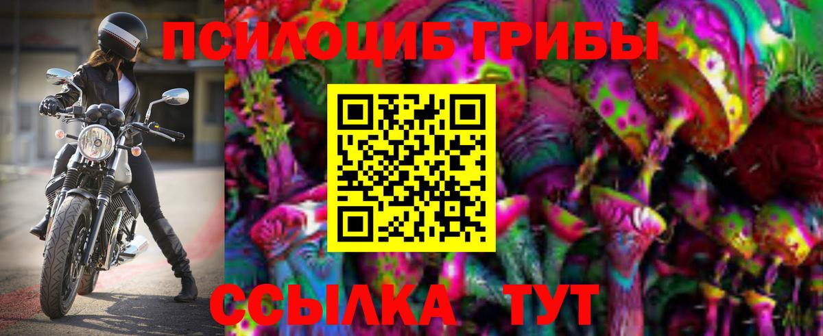 Псилоцибиновые грибы MAGIC MUSHROOMS Сегежа